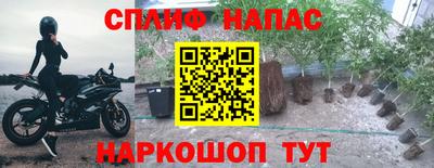 прущие крисы Гагарин