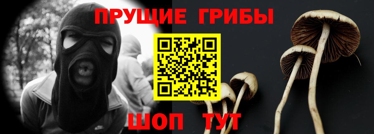 Псилоцибиновые грибы мухоморы  Галлюциногенные грибы Psilocybine cubensis  Минусинск  Вход с VPN 